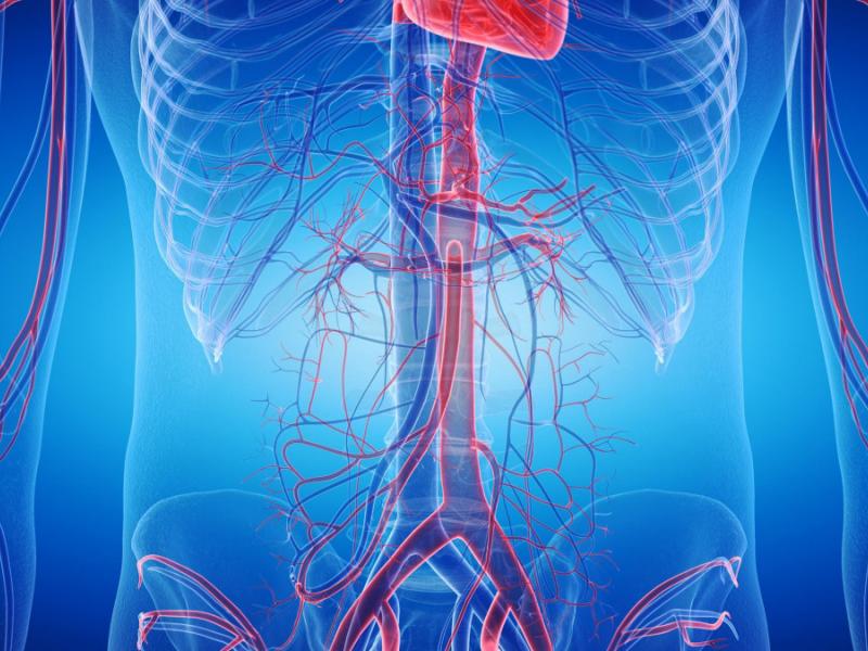 Anévrisme de l'aorte abdominale : quel traitement ?