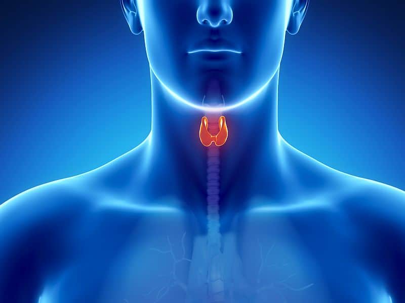 Thyroidectomy treatment in Turkey : Cost & best clinics