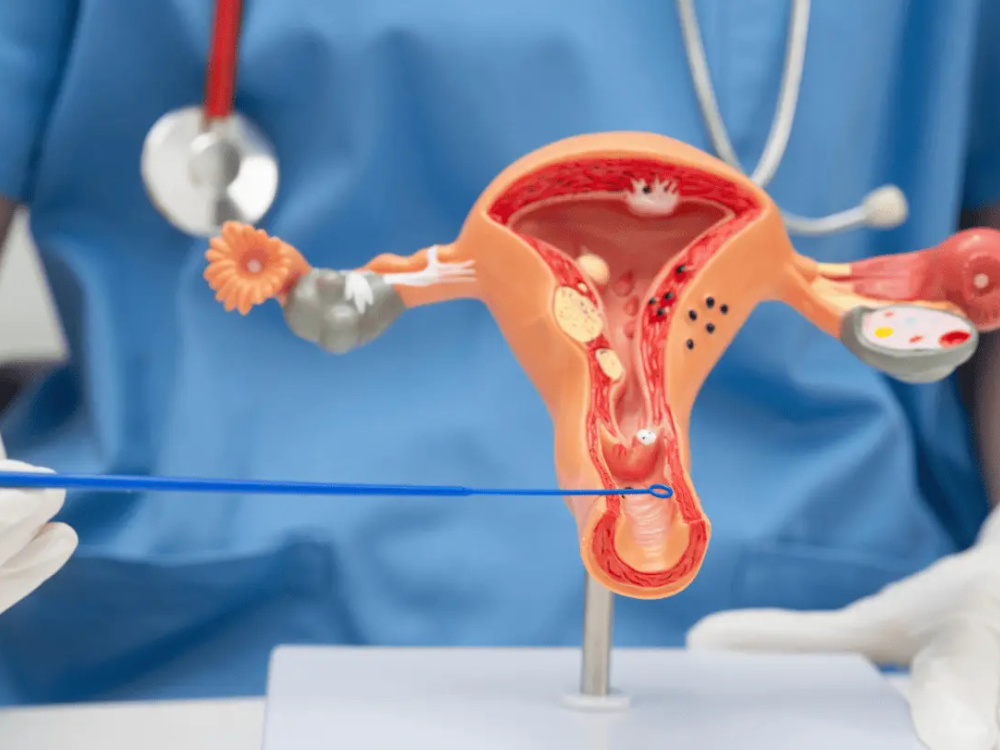 Understanding your biopsy results and what comes next 2026 Understanding your biopsy results and what comes next 2026