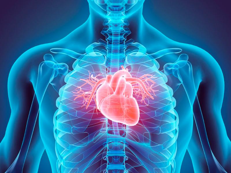 Cardiology Turkey Cardiology Turkey