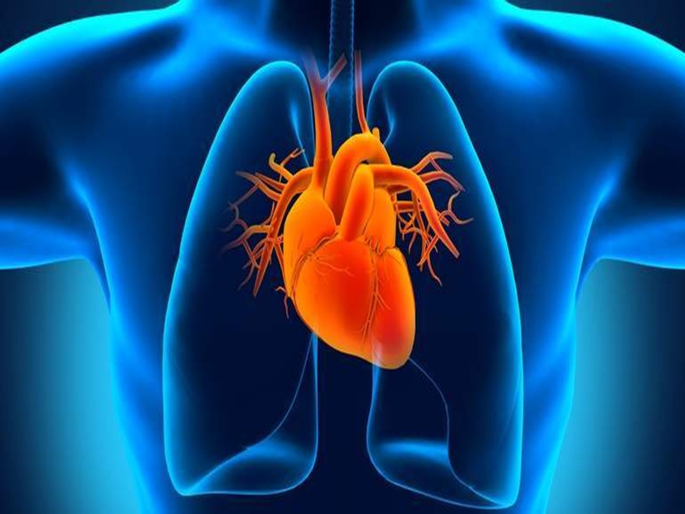 cardiopatía congénita en Turquía cardiopatía congénita en Turquía