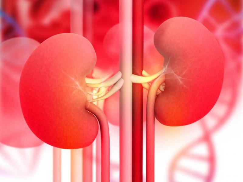 Enfermedad renal terminal (ERT): ¿qué es? 2026