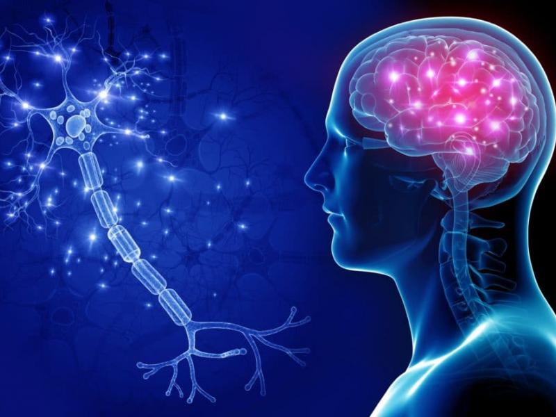 طب الأعصاب تركيا طب الأعصاب تركيا