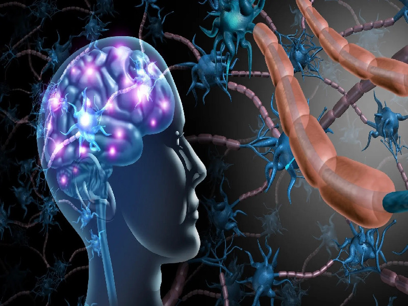 كيف يتم تشخيص التصلب المتعدد؟ 2026 كيف يتم تشخيص التصلب المتعدد؟ 2026